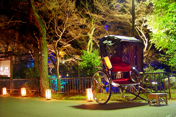 「東山花灯路」　灯りと生け花で彩られた幻想的な夜