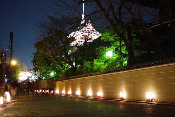 「東山花灯路」　灯りと生け花で彩られた幻想的な夜